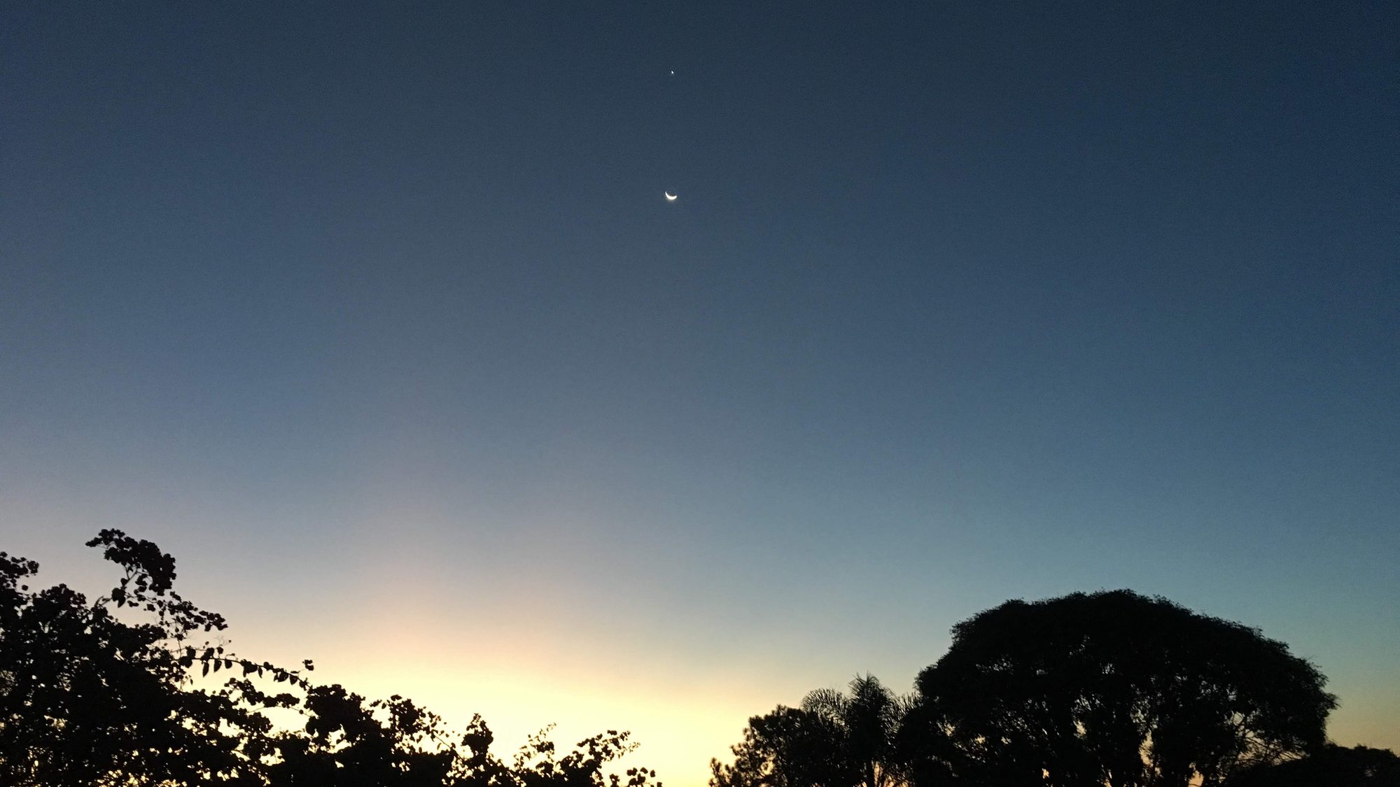 Lua crescente fina e um planeta sobre silhuetas de árvores, no fim do crepúsculo